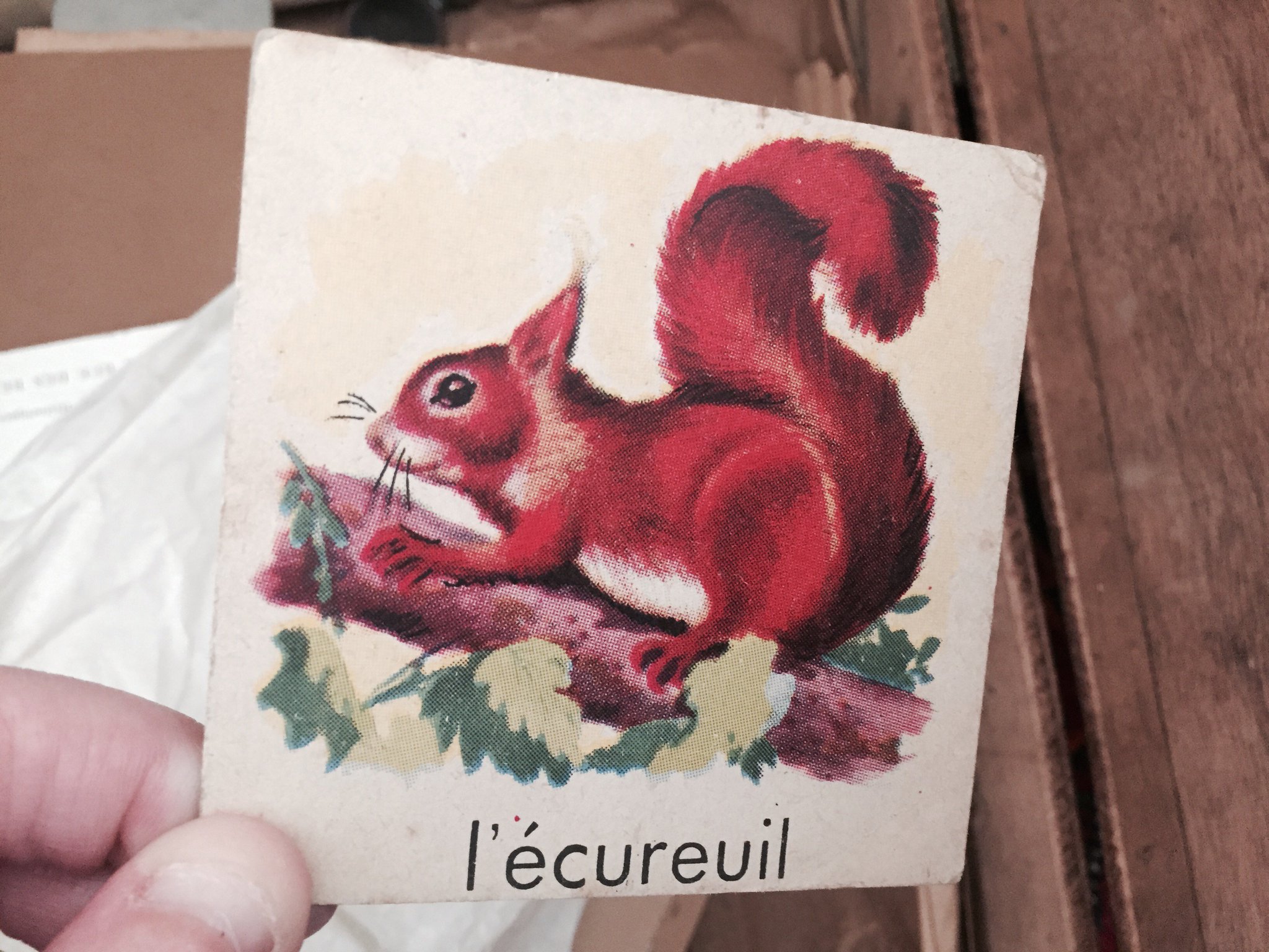 Je me demande d'ailleurs pourquoi les deux que je retrouve sont des écureuils... #Madeleineproject https://t.co/1aoJqjaJ4K